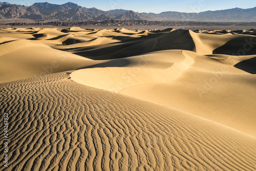 Mesquite Sand Dunes  Death Valley  California