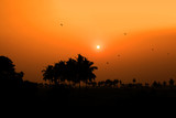 Sun set over paddy fields