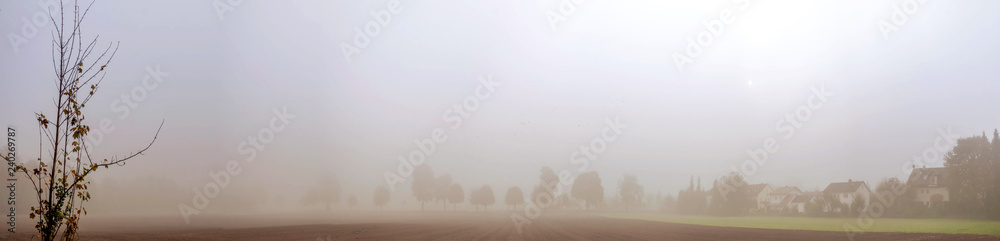 Panorama of a foggy field in the morning. Rural landscape with some tree and houses silhouettes. Panorama of a foggy field in the morning. Rural landscape with some tree and houses silhouettes.
