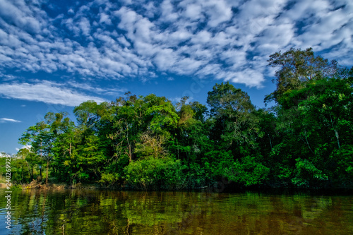 Jungle Tributary in Peru