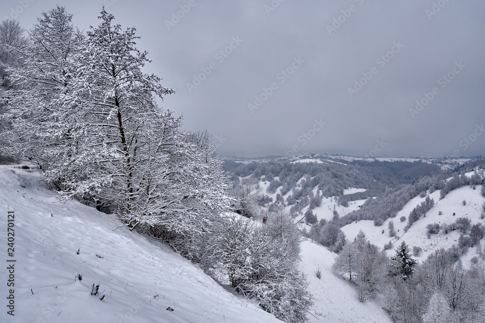 Obraz premium Mountains during winter