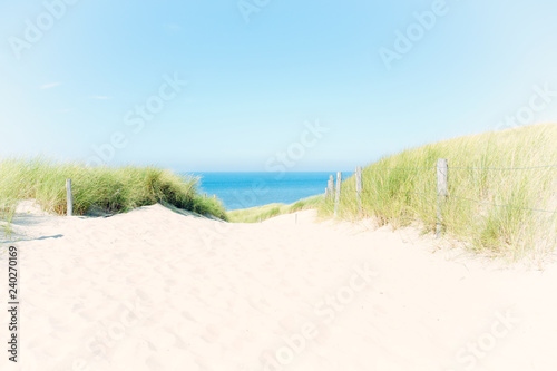 Fototapeta Naklejka Na Ścianę i Meble -  Summer dune path with dune grass and fine white sand leading towards a blue North Sea, The Netherlands.
