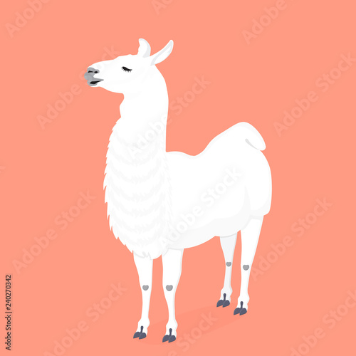 Cute realistic Lama Guanaco vector. Funny alpaca. Design for baby girly nursery, birthday, invitation, children's wear