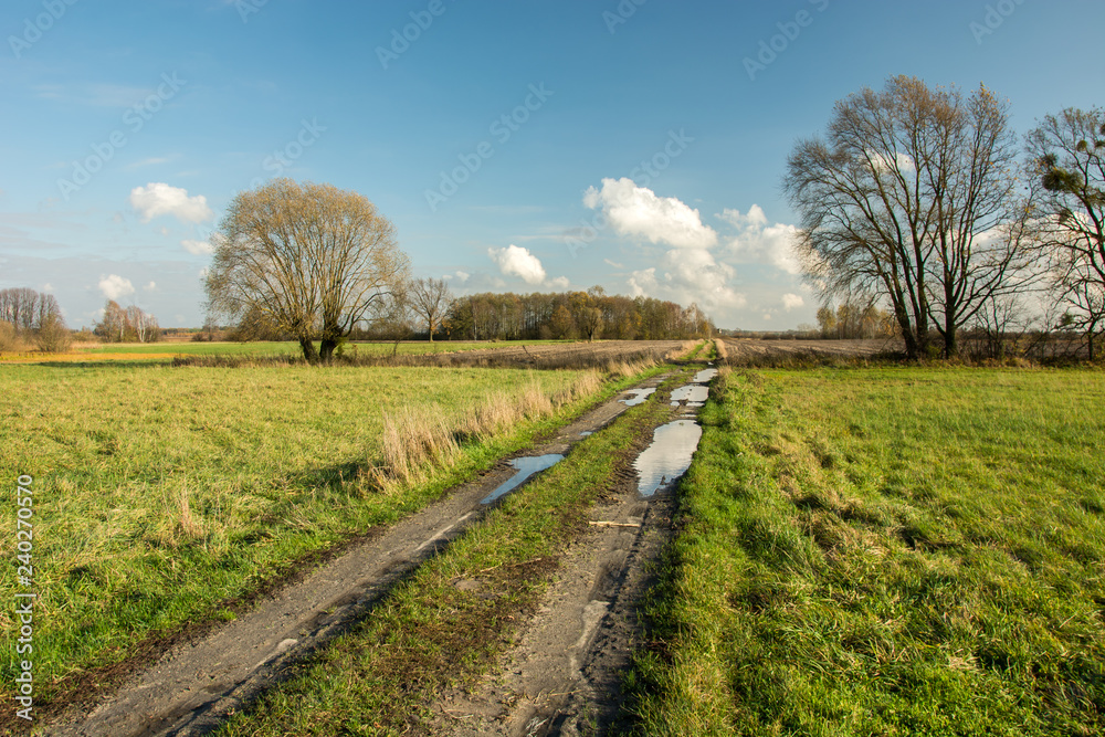 Puddles on a dirt road through a meadow and trees without leaves Puddles on a dirt road through a meadow and trees without leaves