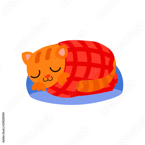  ute red cat with big black eyes and a nose in the form of a heart spends its free time.