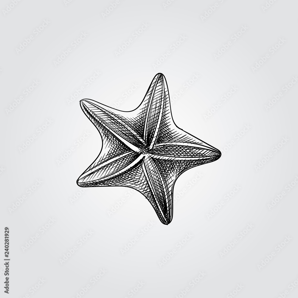 Starfish sketch' Sticker | Spreadshirt