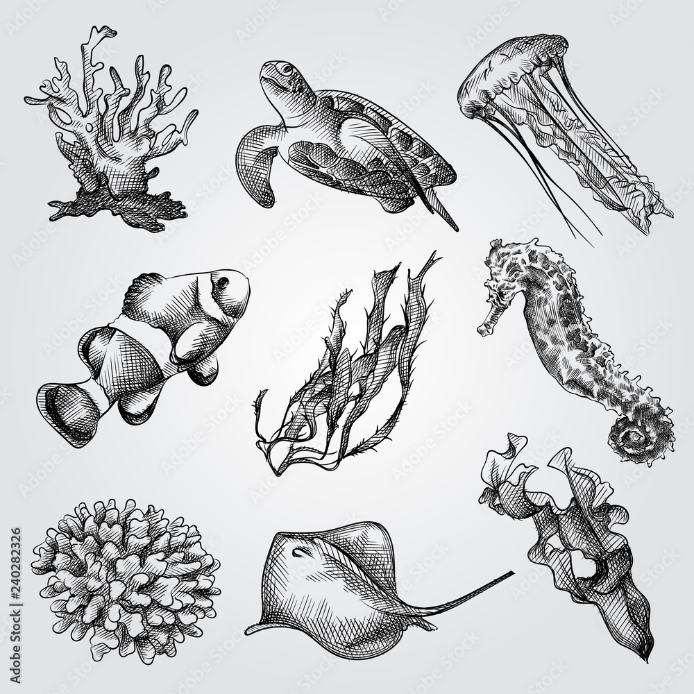 Naklejka premium Ręcznie rysowane elementy podwodnego świata szkiców zestaw. Zbiór korali, wodorostów, Scat, meduzy, żółwia morskiego, konika morskiego i szkiców ryb na białym tle. Ołówek w stylu grawerowania.