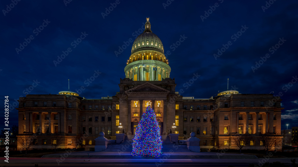 Christmas tree at the Idaho State Capital building at night