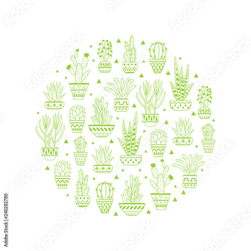 Succulents and cactuses in flowerpots