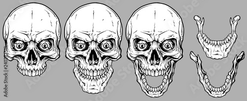 Detailed graphic realistic cool white human skulls with crazy eyes and lower jaws. On gray background. Vector icon set.