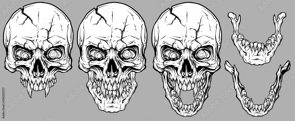 Detailed graphic realistic cool white human skulls with sharp canines, cracks and lower jaws. On gray background. Vector icon set. Detailed graphic realistic cool white human skulls with sharp canines, cracks and lower jaws. On gray background. Vector icon set.
