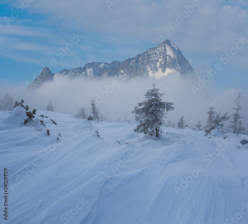 winter scene, snowbound plain and mountain ridge in a snow © Yuriy Kulik