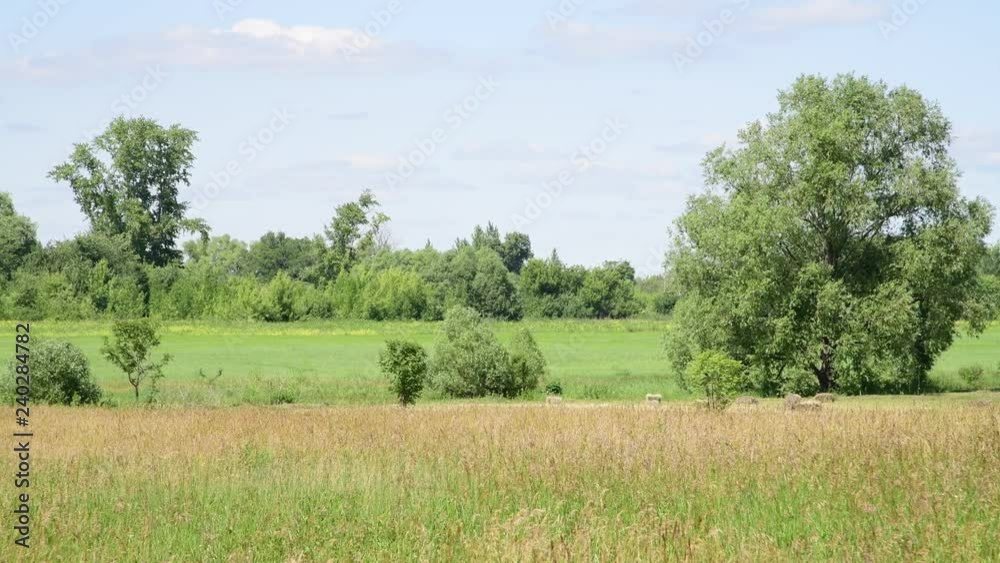 Landscape with Russian nature on hot summer day Landscape with Russian nature on hot summer day