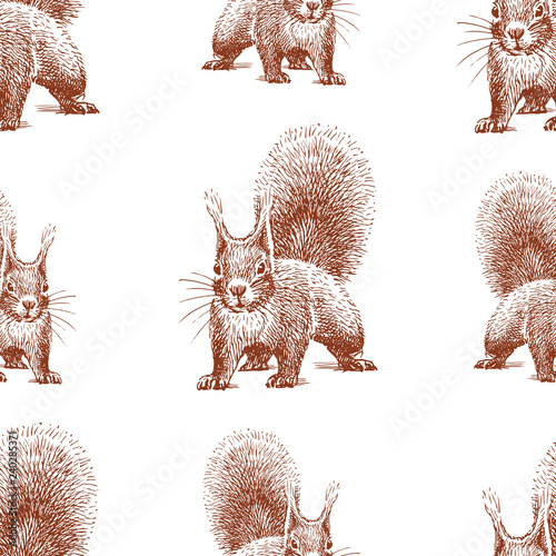 Seamless background of sketches of forest squirrel