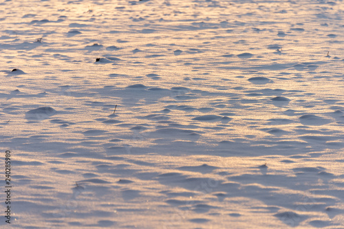 winter background with snow texture on the sunset closeup