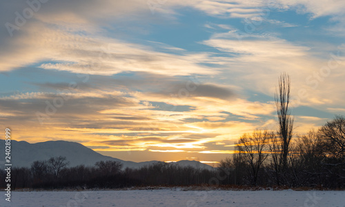 Winter landscape with frozen bare trees on a peeled agricultural field covered with frozen dry yellow grass under a blue sky during sunset