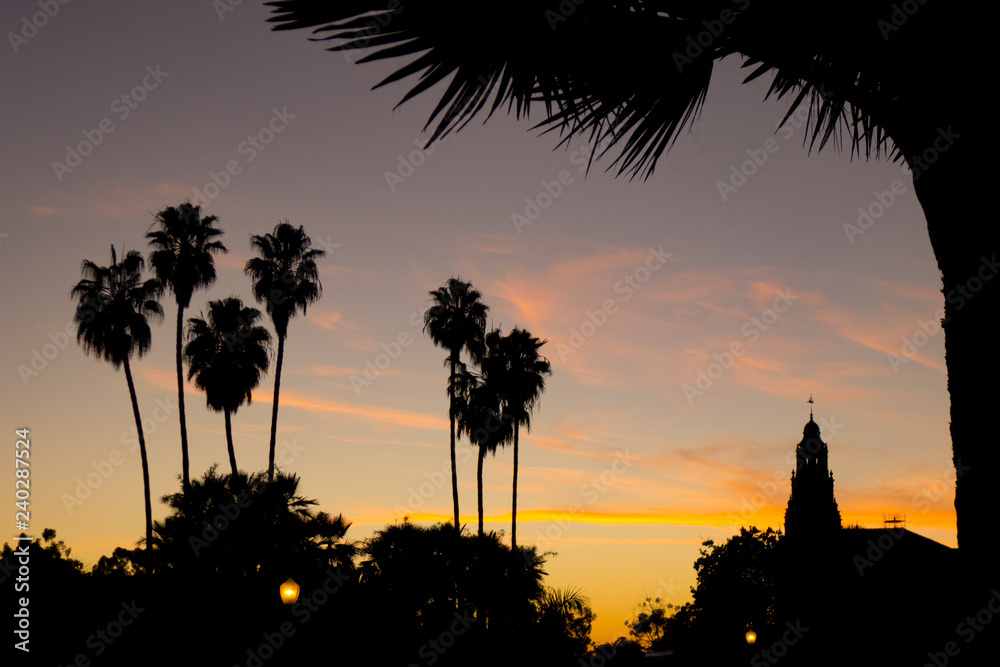 Palm Trees frame a silhouette of a Tower at Balboa Park at Sunset
