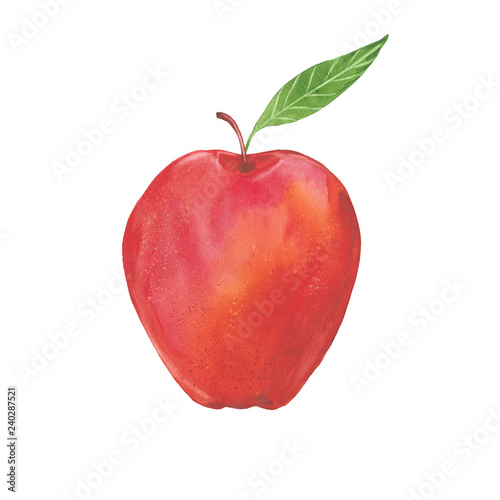  watercolor red apple