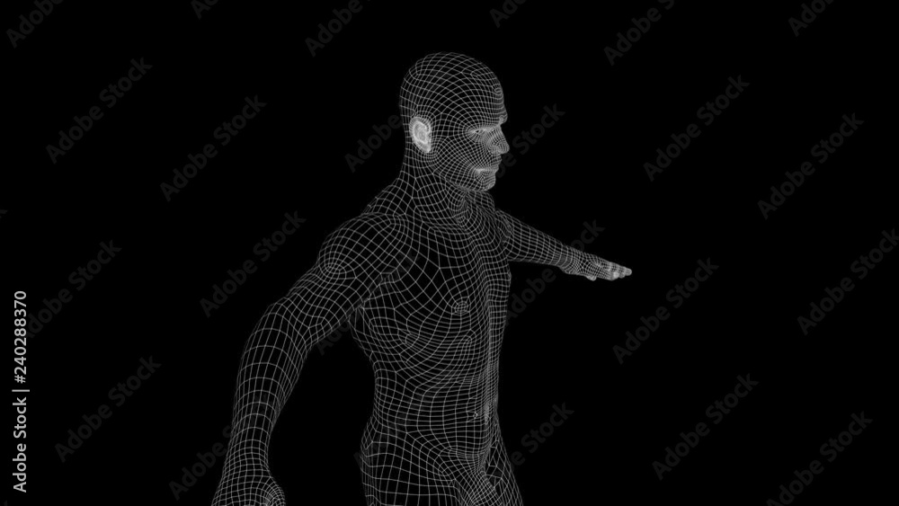 Anatomy 1004: A wireframe anatomical man rotates (Loop).