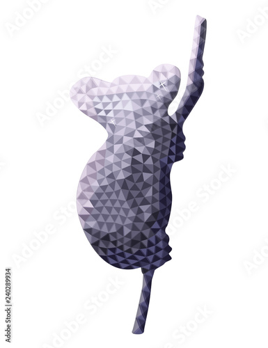 Vector design of koala in l...
