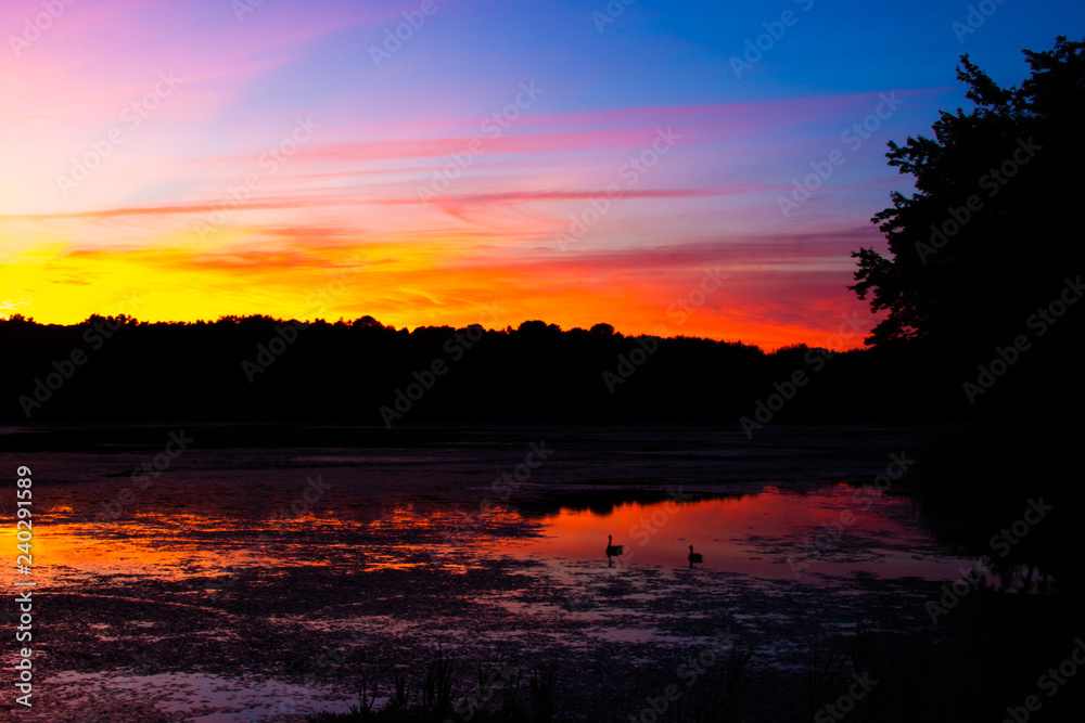 Beautiful Sunset by Lake with 2 Swimming Ducks