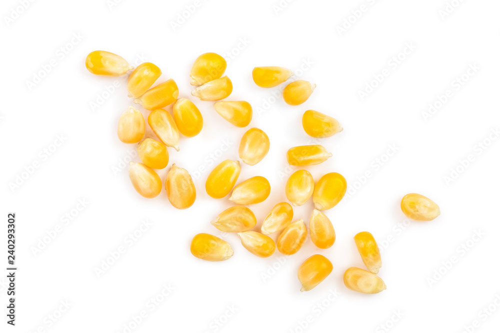 The corn seeds isolated on white background. Top view. Flat lay The corn seeds isolated on white background. Top view. Flat lay