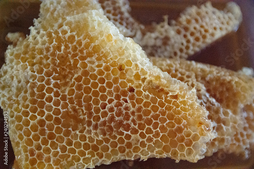 bee hives wax honey pattern texture