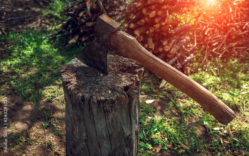Old ax in hemp at sunset.