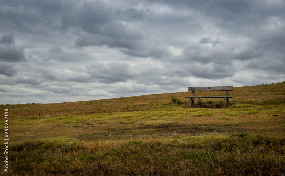 Fototapeta premium melancholic landscape