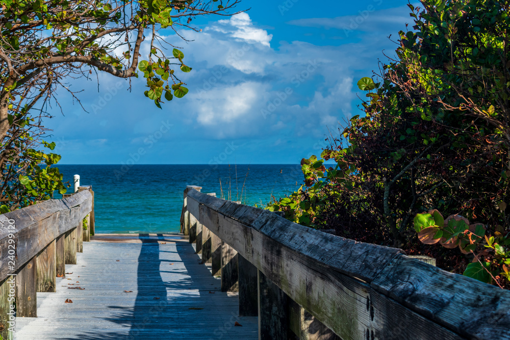 Fototapeta premium Bridge to the beach