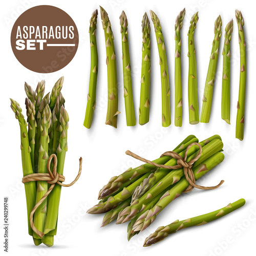 Asparagus Realistic  Set 