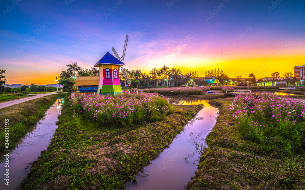 CHIANG MAI, THAILAND - DECEMBER 23: Cosmos flower field and wind mill in the garden of  Muangkaen Municipality , Being decorated for tourism in winter, Chiang Mai ,Thailand in December 23, 2018.