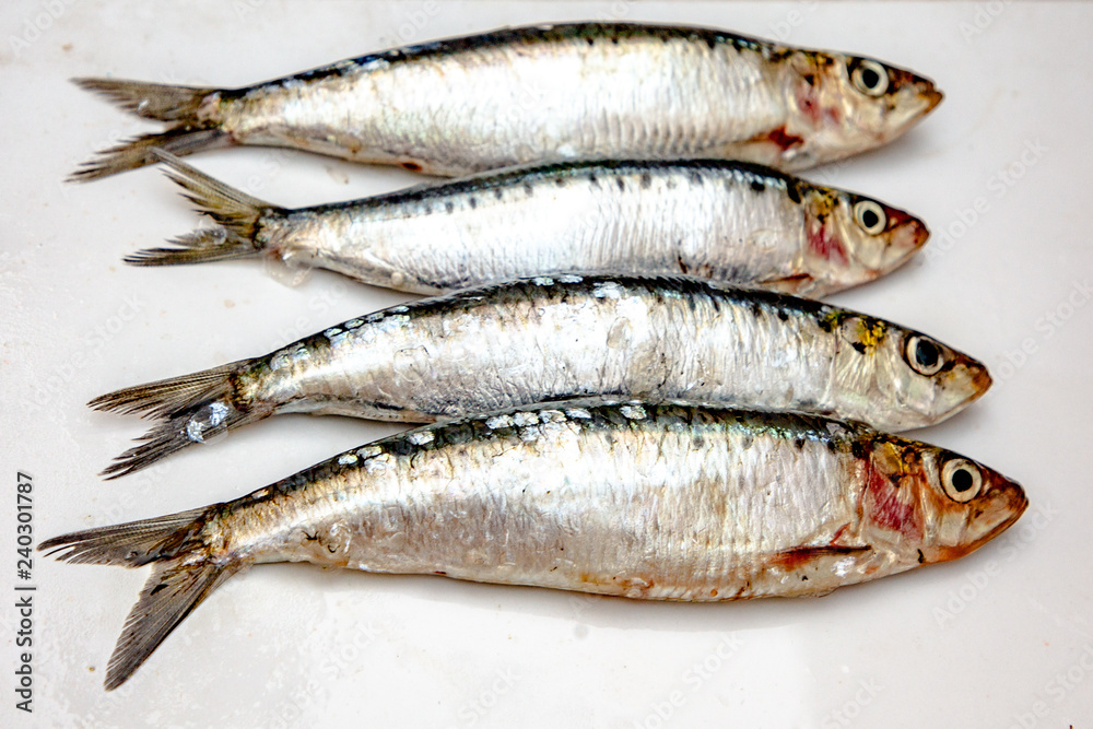 Sardines raw on white background, isolated Sardines raw on white background, isolated