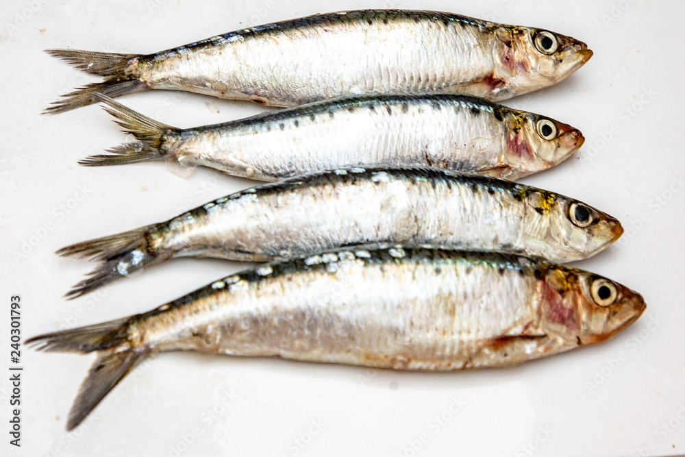 Sardines raw on white background, isolated Sardines raw on white background, isolated