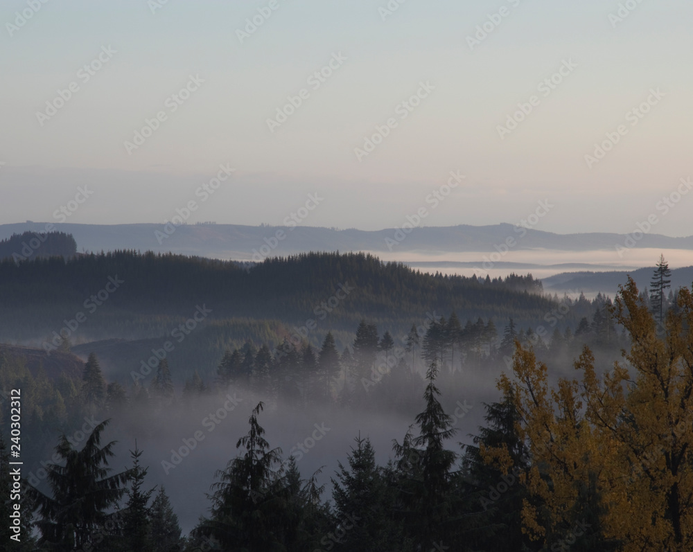 foggy valley 