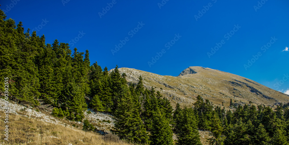 panorama of mountain forest ridge horizon beautiful picturesque background scenic landscape wallpaper pattern concept 