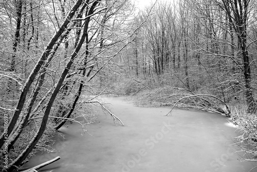 Icy stream winter scenery in the Reedcorner 2 photo