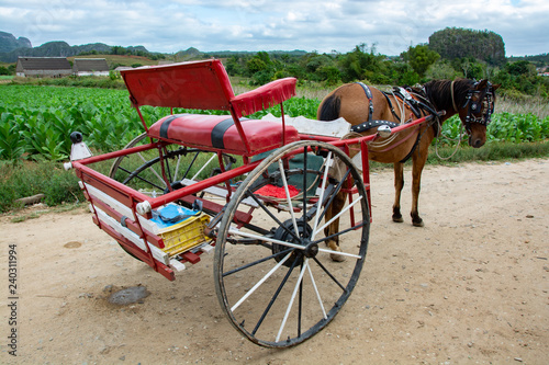 traditional transport in a province of cuba