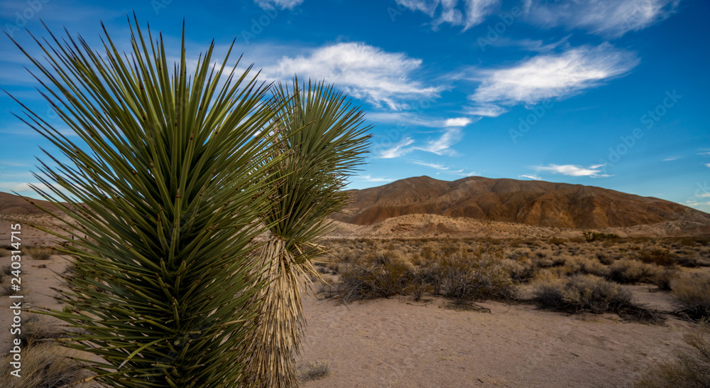 Desert landscape at dusk with Joshua trees and hills in high desert near Red Rock Canyon in California Desert landscape at dusk with Joshua trees and hills in high desert near Red Rock Canyon in California