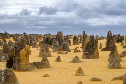 Yellow stones of Pinnacle Desert. Australia