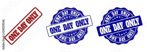 ONE DAY ONLY scratched stamp seals in red and blue colors. Vector ONE DAY ONLY signs with grainy texture. Graphic elements are rounded rectangles, rosettes, circles and text labels.