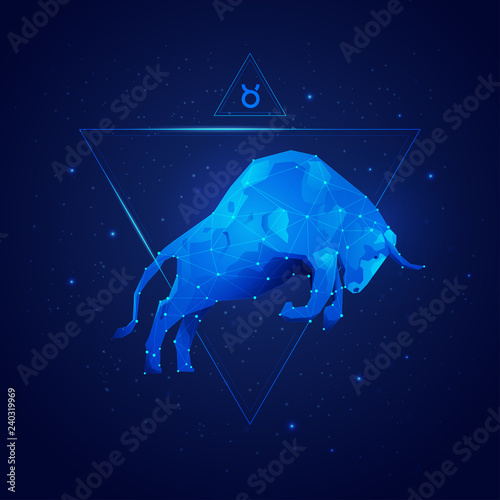vector of taurus horoscope sign in twelve zodiac with galaxy stars background, vector of polygon bull
