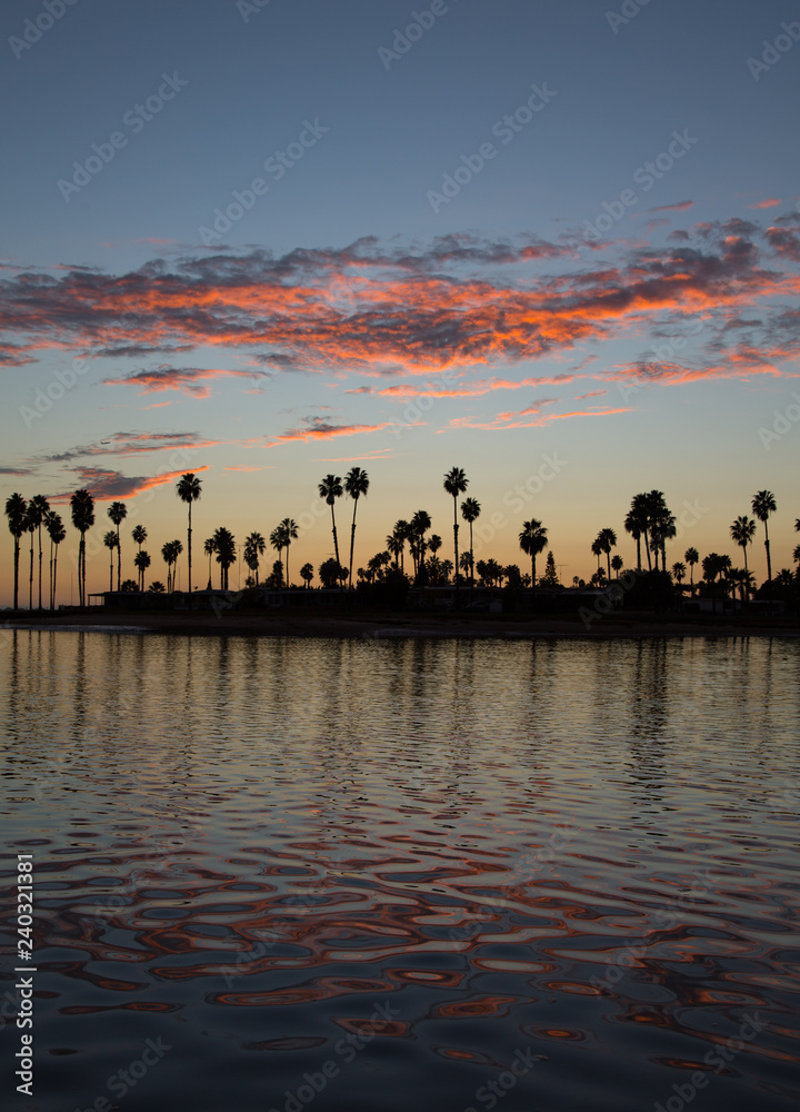 Iconic silhouette of palm trees over Mission Bay San Diego
