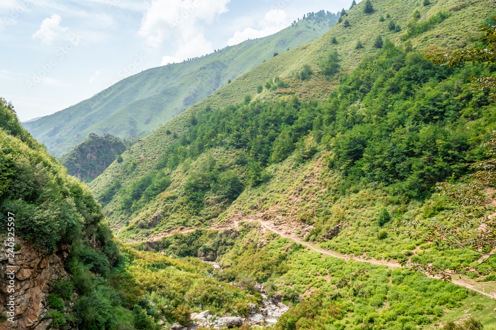 Trekking track route through green forest in Kashmir