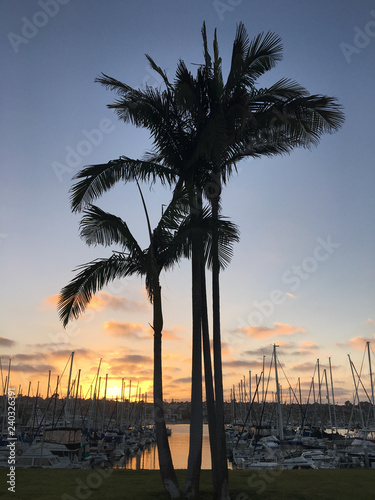 Sunset over a harbor in San Diego California