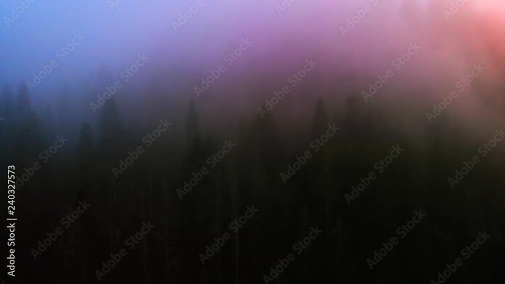 Drifting mist over the forests. Blurred, unsharp abstract footage Drifting mist over the forests. Blurred, unsharp abstract footage