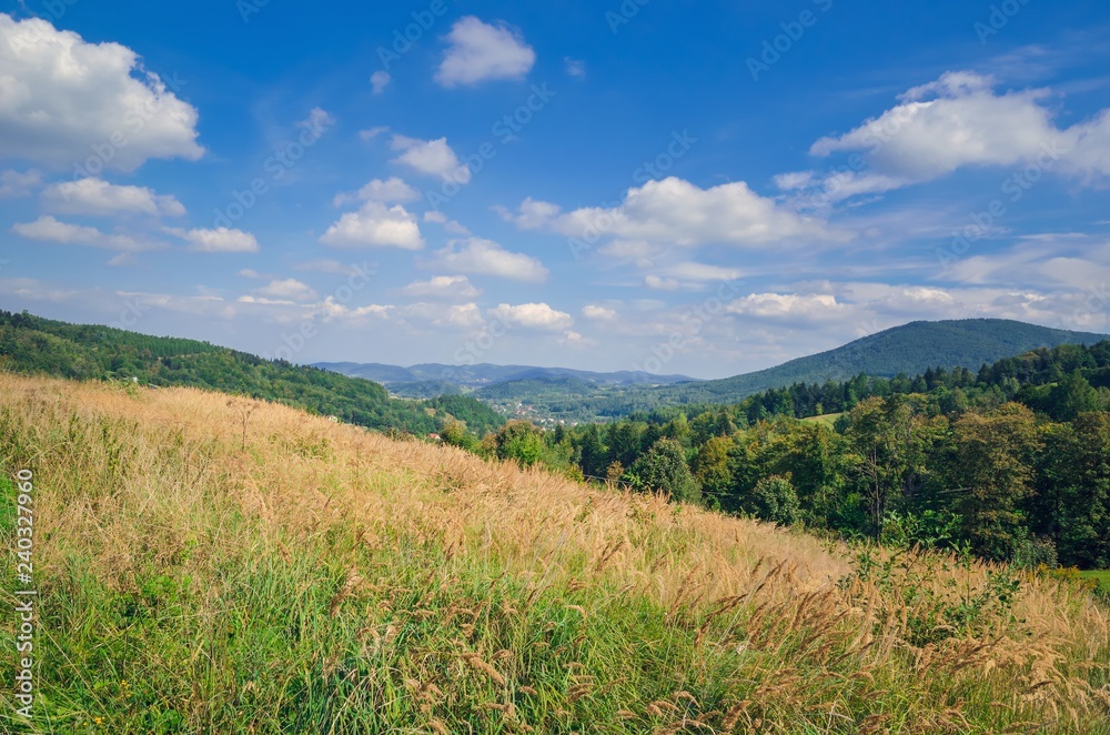 Beautiful rural mountain landscape. Cottages on the hills in the summer scenery.