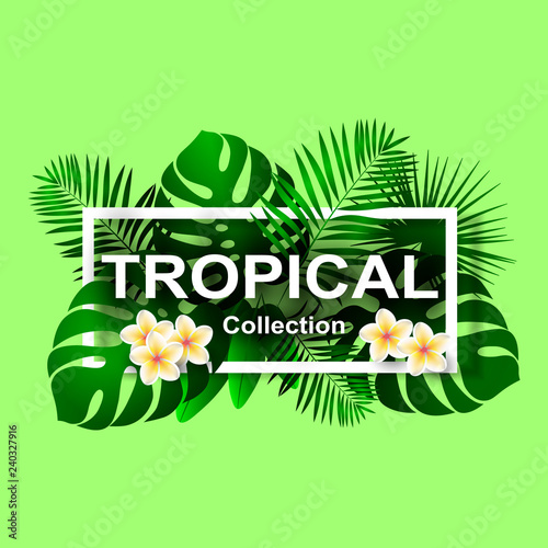Tropical collection banner with place for text isolated on green. Vector illustration