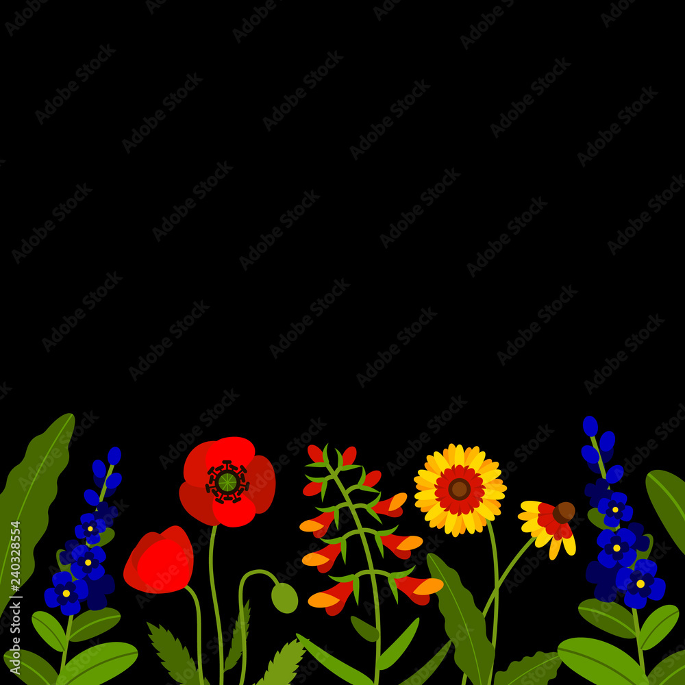 Horizontal border with field flowers isolated on black. Vector illustration. Summer flowers design.