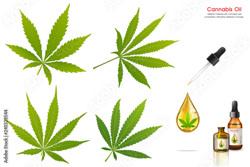 Marijuana plant and cannabis oil bottles vector.